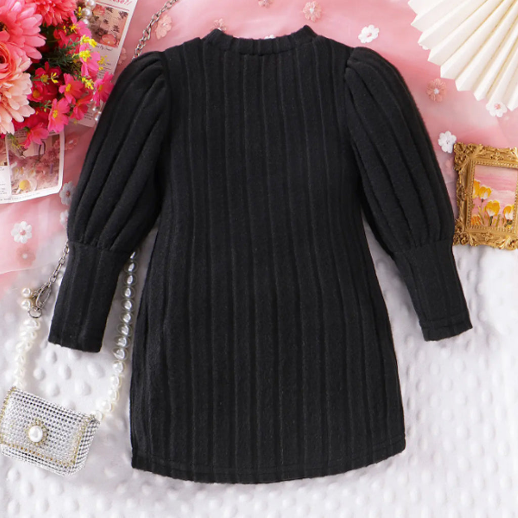 Toddler Girls 3D Embroidery Kint Flower Long Sleeve  A Line Dress